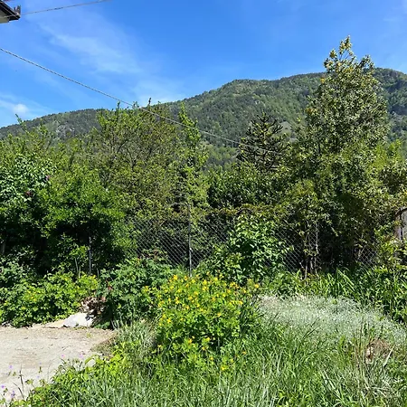 Caso Di Reire * Monterosso Grana